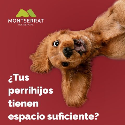 Sin Nombre