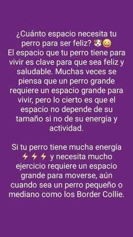 Sin Nombre